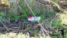 18-Beer-Can.jpg