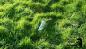21-Plastic-Bottle.jpg