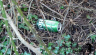3-Beer-Can.jpg
