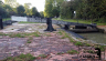 Hilmorton-Locks-Middle-Lock-05.jpg