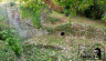 14-Siddington-Lock-Middle-Lock-Culvert-Outlet.jpg