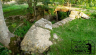 18-Siddington-Locks-Rickety-Bridge.jpg